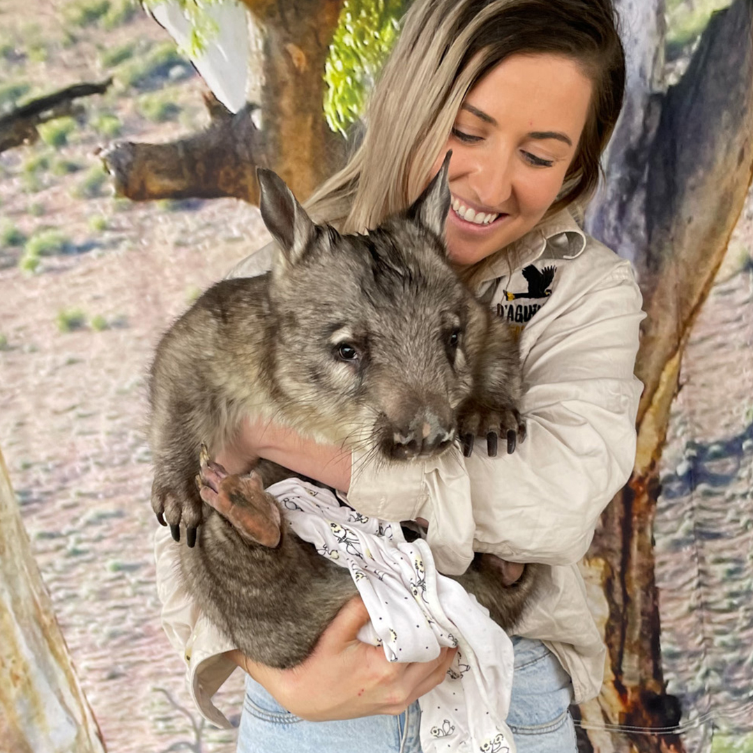Wildlife Rangers Wombat 1