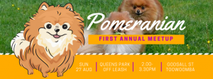 Pomeranian Meetup