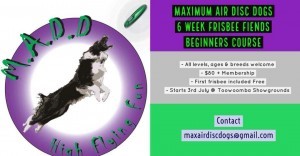 MADD Flyer