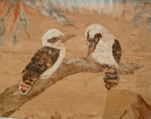 Kookaburra