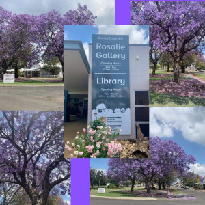 Jacaranda Day 2021.jpg