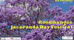 Jacaranda Day Festival Image Lo-Res.png