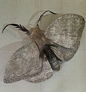 Mother Moth 2023_mixed media_ER.jpg