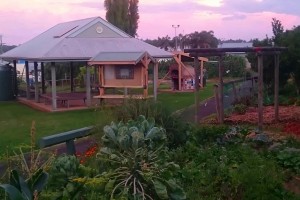 Community Organic Gardens