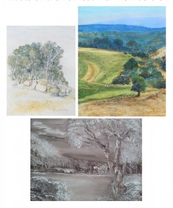 Various artworks: Jennepher Hope, Pam Shipman and Beronica Murray.