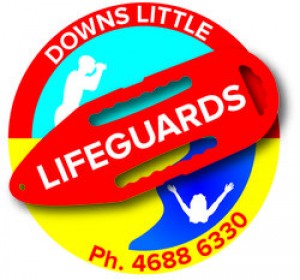 rsz_downs_little_lifeguards.jpg