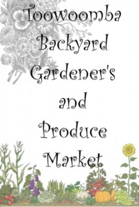 Back Yard logo2small.jpg