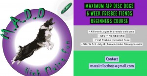 MADD Flyer