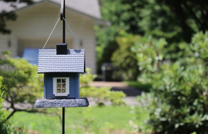 birdhouse-2216747_640.jpg