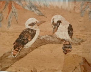 Kookaburra