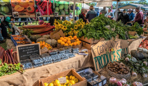 Hampton Festival local fresh produce