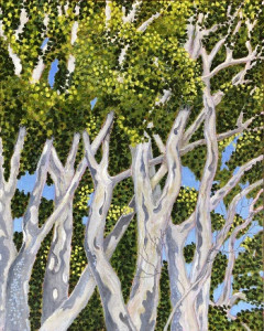 Leopard tree - looking up II_Jane Bridle_ER.jpg