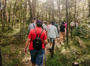 Wild Life Walk 