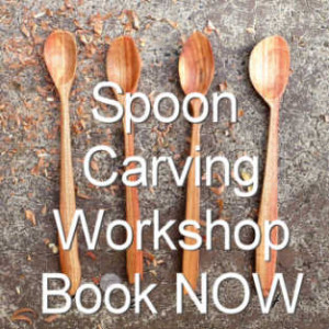 spoon carving workshops