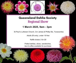 QDS Regional Show 2025