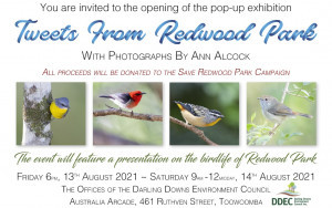 Redwood Bird Exhibition.jpg