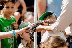 Summer holidays at the museum